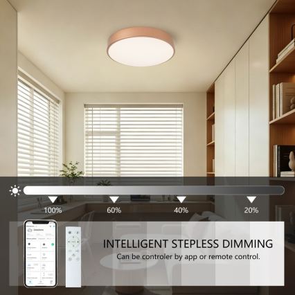BRILAGI - LED Stmievateľné stropné svietidlo POOL SMART LED/48W/230V 3000-6000K pr. 40 cm Wi-Fi Tuya medené + diaľkové ovládanie