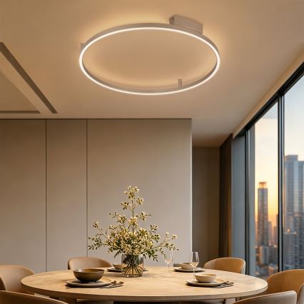 Brilagi - stmievateľné LED stropné svietidlo PORTOFINO LED/60W/230V 3000-6000K priemer 80 cm béžová + diaľkové ovládanie