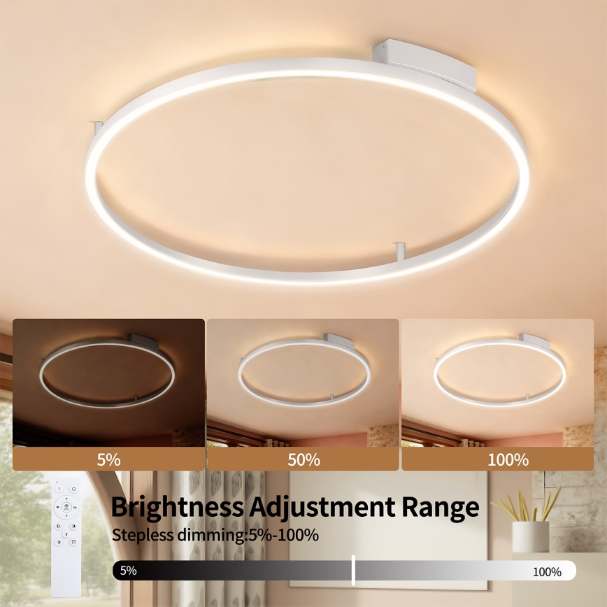 Brilagi - LED stmievateľné stropné svietidlo PORTOFINO LED/60W/230V 3000-6000 K priemer 80 cm strieborné + diaľkové ovládanie