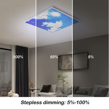 Brilagi - LED stmievateľné stropné svietidlo SLIMFRAME LED/58W/230V 60x60 cm 3000-6000K strieborná/modrá + diaľkové ovládanie