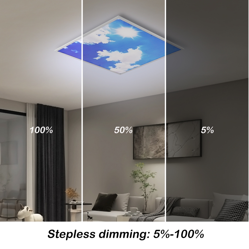 Brilagi - LED stmievateľné stropné svietidlo SLIMFRAME LED/58W/230V 60x60 cm 3000-6000K strieborná/modrá + diaľkové ovládanie