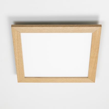 Brilagi - LED stmievateľné stropné svietidlo SLIMFRAME WOOD LED/36W/230V 49,5x49,5 cm 3000-6000K hnedé + diaľkové ovládanie