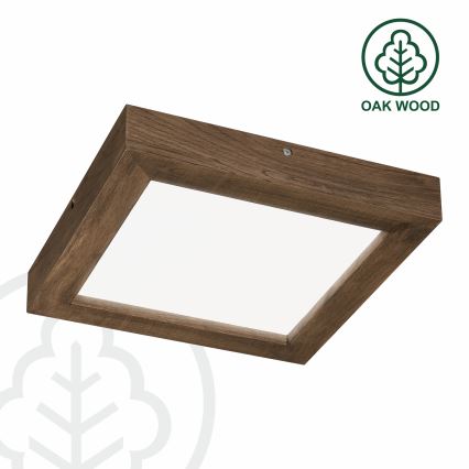 Brilagi - LED Stmievateľné kúpeľňové stropné svietidlo WOODY FRAME LED/24W/230V dub orech 30x30 cm 3000-6000K IP44 + diaľkové ovládanie
