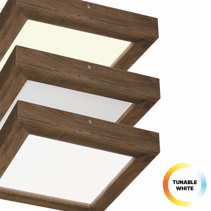 Brilagi - LED Stmievateľné kúpeľňové stropné svietidlo WOODY FRAME LED/24W/230V dub orech 30x30 cm 3000-6000K IP44 + diaľkové ovládanie