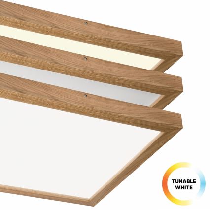Brilagi - LED Stmievateľné kúpeľňové stropné svietidlo WOODY FRAME LED/50W/230V dub 60x60 cm 3000-6000K IP44 + diaľkové ovládanie