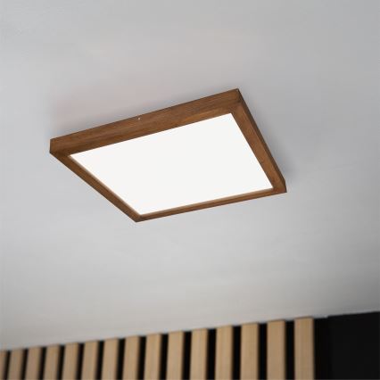 Brilagi - LED Stmievateľné kúpeľňové stropné svietidlo WOODY FRAME LED/50W/230V dub čerešňa 60x60 cm 3000-6000K IP44 + diaľkové ovládanie