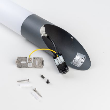 BRILAGI - LED Stmievateľná vonkajšia nástenná lampa ELIA 1xE27/6W/230V 2700-6500K IP44 Wi-Fi antracit