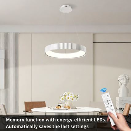Brilagi - LED stmievateľný luster na lane FALCON MODERN LED/54W/230V pr. 60 cm biela + diaľkové ovládanie