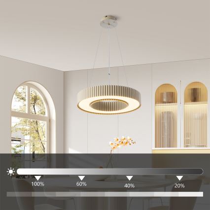 Brilagi - stmievateľný LED luster na lane LUMIX LED/48W/230V 3000-6000K, béžový, priemer 50 cm + diaľkové ovládanie