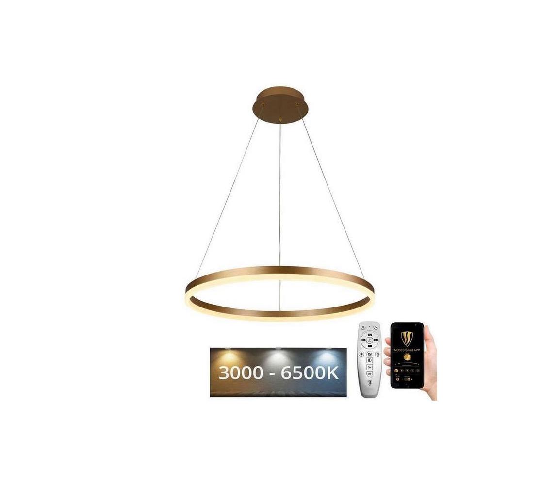 Brilagi - LED stmievateľný luster na lane CIRCLE LED/42W/230V 3000-6500K + diaľkové ovládanie BG-J4308/G
