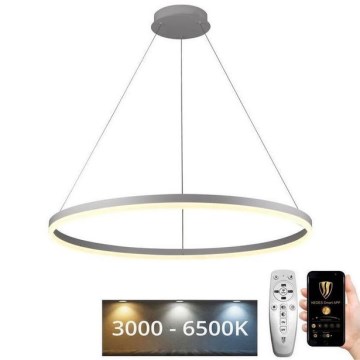 Brilagi - LED stmievateľný luster na lane CIRCLE LED/55W/230V 3000-6500K priemer 80 cm biela + diaľkové ovládanie