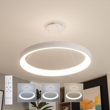 Brilagi - LED stmievateľný luster na lane FALCON II LED/108W/230V 3000-6500K priemer 80 cm biely + diaľkové ovládanie