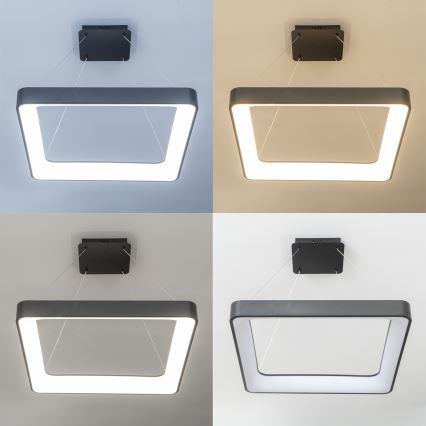 Brilagi - LED Stmievateľný luster na lanku FALCON II LED/125W/230V 3000-6500K 60x60 cm čierna + diaľkové ovládanie