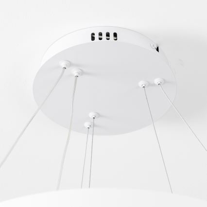 Brilagi - LED stmievateľný luster na lane FALCON SLIM LED/68W/230V 3000-6500K pr. 50 cm biela + diaľkové ovládanie