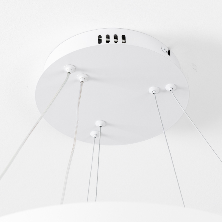 Brilagi - LED stmievateľný luster na lane FALCON SLIM LED/68W/230V 3000-6500K pr. 50 cm biela + diaľkové ovládanie