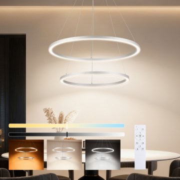 Brilagi - LED Stmievateľný luster na lane PORTOFINO LED/98W/230V 3000-6000K pr. 80 cm strieborný + diaľkové ovládanie
