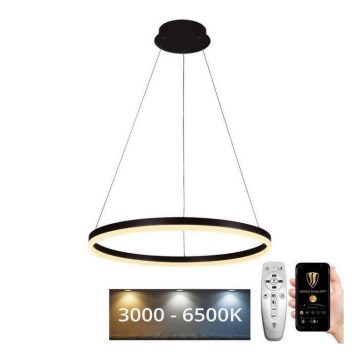 Brilagi - LED stmievateľný luster na lankách CIRCLE LED/42W/230V 3000-6500K priemer 60 cm + diaľkové ovládanie