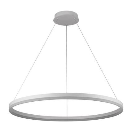 Brilagi - LED stmievateľný luster na lane CIRCLE LED/55W/230V 3000-6500K priemer 80 cm biela + diaľkové ovládanie