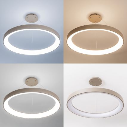 BRILAGI - LED stmievateľný luster na lanku FALCON II LED/108W/230V 3000-6500K pr. 80 cm béžový + diaľkové ovládanie