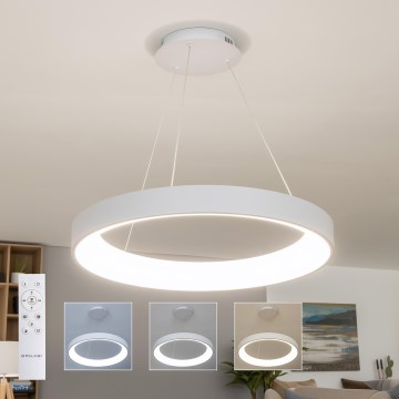 Brilagi - LED stmievateľný luster na lankách FALCON II LED/99W/230V 3000-6500K pr. 60 cm biela + diaľkové ovládanie