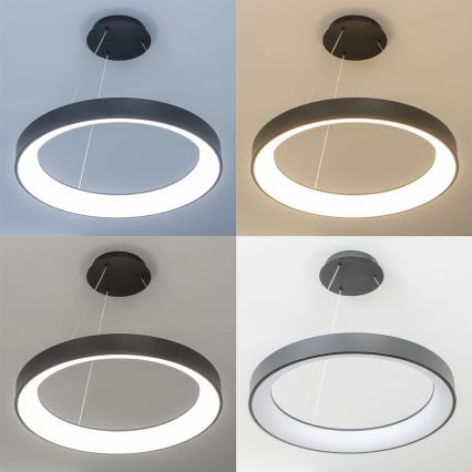 Brilagi - LED stmievateľný luster na lankách FALCON II LED/99W/230V 3000-6500K pr. 60 cm čierna + diaľkové ovládanie