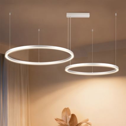 Brilagi - LED stmievateľný luster na lane PORTOFINO LED/98W/230V 3000-6000K strieborný + diaľkové ovládanie