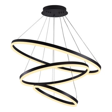 Brilagi - LED Stmievateľný luster na lanku CIRCLE LED/125W/230V 3000-6500K čierna + diaľkové ovládanie