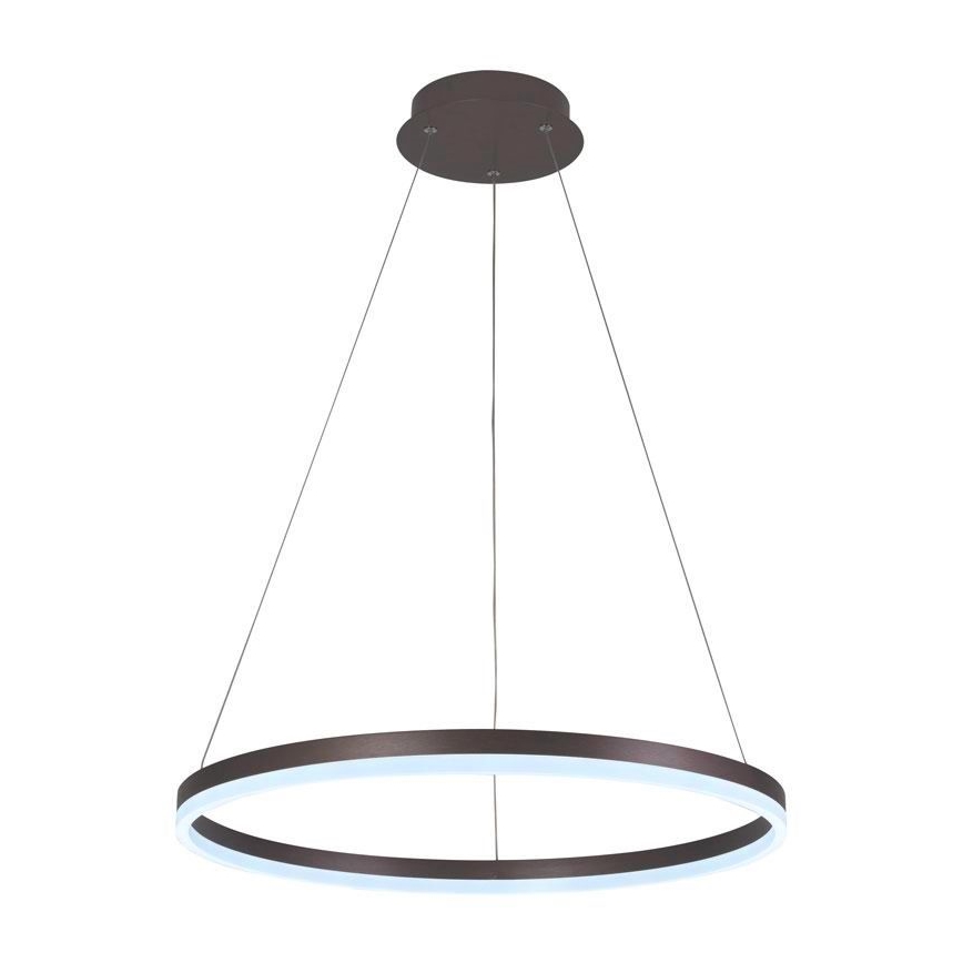 Brilagi - LED Stmievateľný luster na lanku CIRCLE LED/42W/230V 3000-6500K hnedá + diaľkové ovládanie