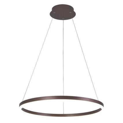 Brilagi - LED Stmievateľný luster na lanku CIRCLE LED/42W/230V 3000-6500K hnedá + diaľkové ovládanie