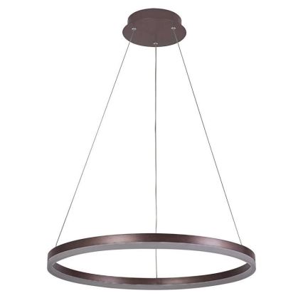 Brilagi - CIRCLE stmievateľný LED závesný luster na lanku, 42 W, 230 V, 3000-6500 K, pr. 60 cm, hnedý + diaľkové ovládanie