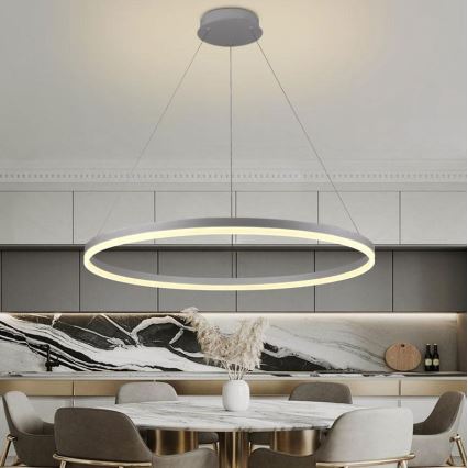 Brilagi - LED Stmievateľný luster na lanku CIRCLE LED/55W/230V 3000-6500K strieborná + diaľkové ovládanie