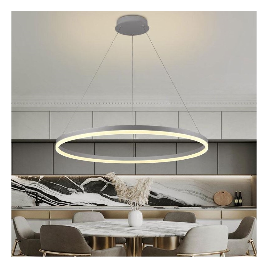 Brilagi - LED Stmievateľný luster na lanku CIRCLE LED/55W/230V 3000-6500K strieborná + diaľkové ovládanie