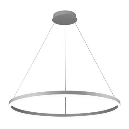 Brilagi - LED Stmievateľný luster na lanku CIRCLE LED/55W/230V 3000-6500K strieborná + diaľkové ovládanie