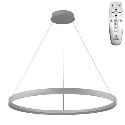 Brilagi - LED stmievateľný luster na lane CIRCLE LED/55W/230V 3000–6500K priemer 80 cm strieborný s diaľkovým ovládaním