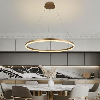 Brilagi - LED Stmievateľný luster na lanku CIRCLE LED/55W/230V 3000-6500K zlatá + diaľkové ovládanie