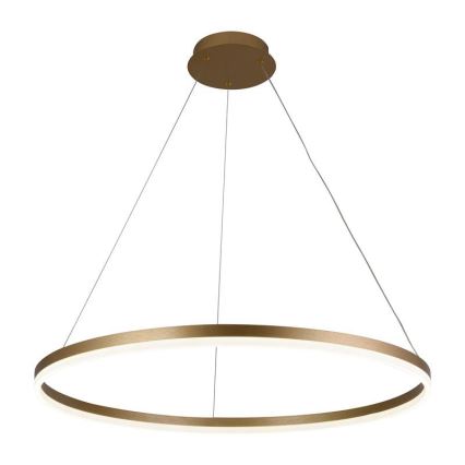 Brilagi - LED Stmievateľný luster na lanku CIRCLE LED/55W/230V 3000-6500K zlatá + diaľkové ovládanie