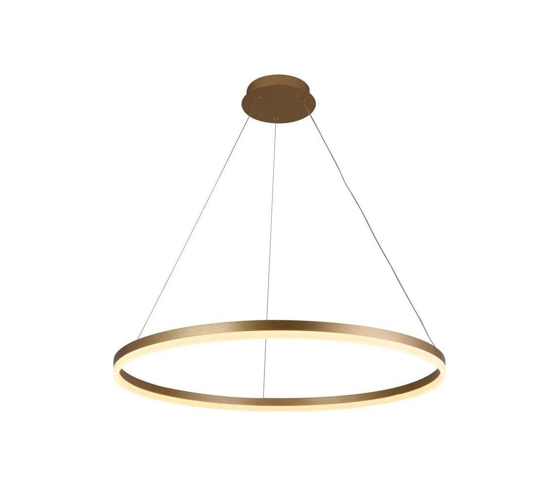 Brilagi - LED stmievateľný luster na lanku CIRCLE LED/55W/230V 3000-6500K zlatý s diaľkovým ovládaním BG-J4309/G