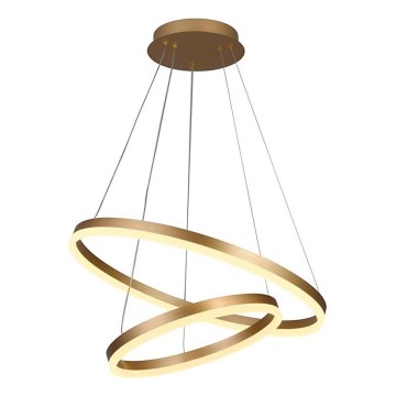 Brilagi - LED Stmievateľný luster na lanku CIRCLE LED/70W/230V 3000-6500K zlatá + diaľkové ovládanie
