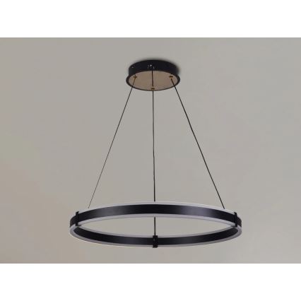 Brilagi - LED stmievateľný luster na lanku CIRCLE LED/85W/230V 3000-6500K pr. 60 cm čierna/zlatá + diaľkové ovládanie