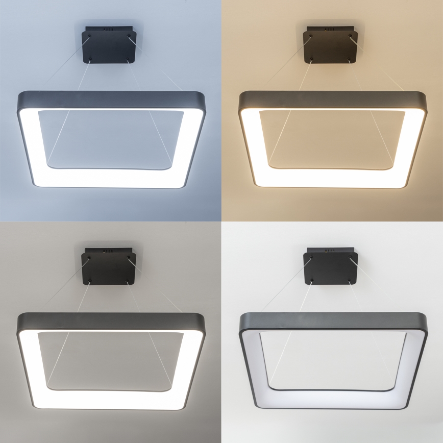 Brilagi - LED stmievateľný závesný luster na lankách FALCON II LED/125W/230V 3000-6500K 60x60 cm čierna + diaľkové ovládanie