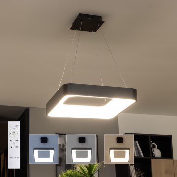 Brilagi - LED stmievateľný luster na lanku FALCON II LED/80W/230V 3000-6500K 40x40 cm čierna + diaľkové ovládanie