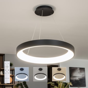Brilagi - LED stmievateľný luster na lanku FALCON II LED/99W/230V 3000-6500K Ø 60 cm čierna + diaľkové ovládanie