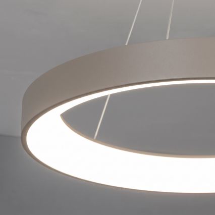 BRILAGI - LED Stmievateľný luster na lane FALCON II LED/99W/230V 3000-6500K priemer 60 cm béžová + diaľkové ovládanie