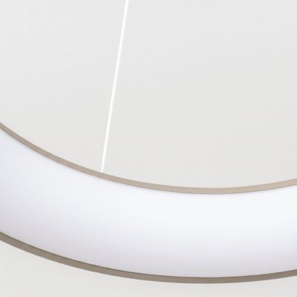 BRILAGI - LED Stmievateľný luster na lane FALCON II LED/99W/230V 3000-6500K priemer 60 cm béžová + diaľkové ovládanie