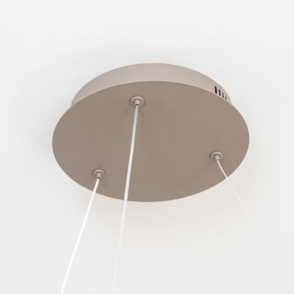 BRILAGI - LED Stmievateľný luster na lane FALCON II LED/99W/230V 3000-6500K priemer 60 cm béžová + diaľkové ovládanie