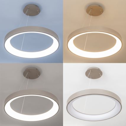 BRILAGI - LED Stmievateľný luster na lane FALCON II LED/99W/230V 3000-6500K priemer 60 cm béžová + diaľkové ovládanie