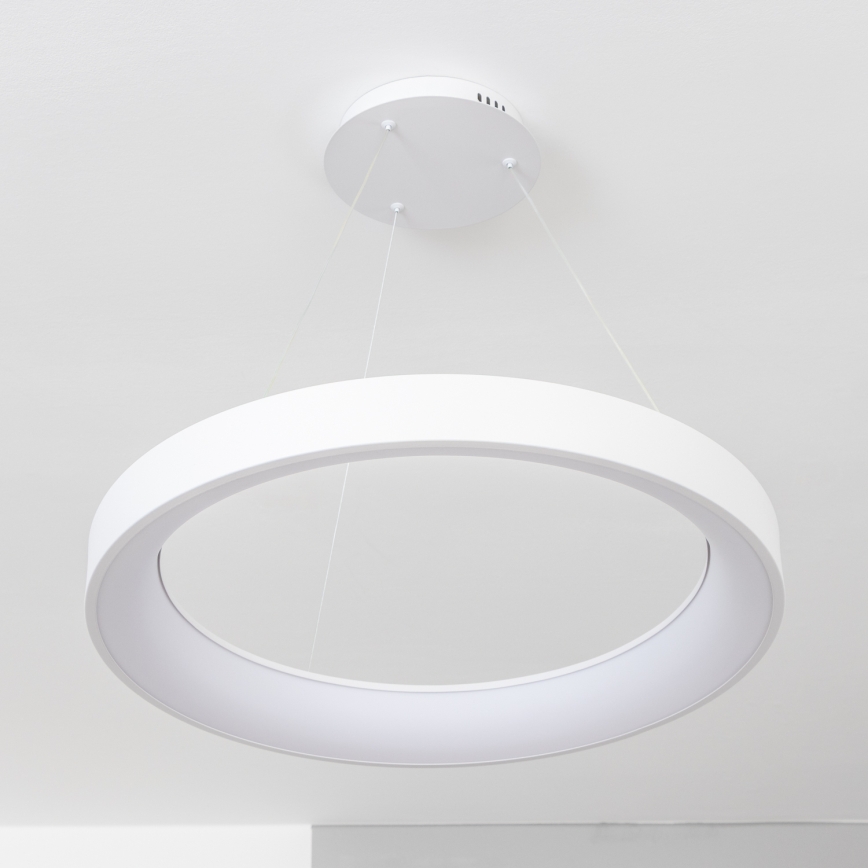 BRILAGI - LED stmievateľný luster na lankách FALCON II LED/99W/230V 3000-6500K pr. 60 cm biela + diaľkové ovládanie