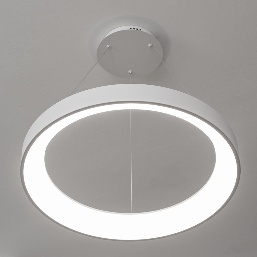 BRILAGI - LED stmievateľný luster na lankách FALCON II LED/99W/230V 3000-6500K pr. 60 cm biela + diaľkové ovládanie