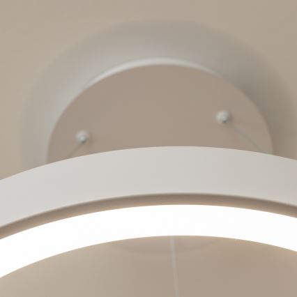 BRILAGI - LED stmievateľný luster na lankách FALCON II LED/99W/230V 3000-6500K pr. 60 cm biela + diaľkové ovládanie