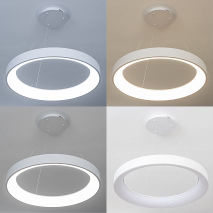 BRILAGI - LED stmievateľný luster na lankách FALCON II LED/99W/230V 3000-6500K pr. 60 cm biela + diaľkové ovládanie